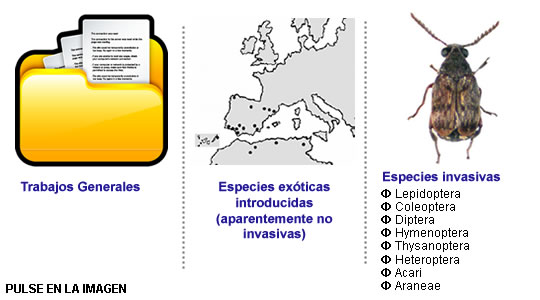 Trabajos publicados en revistas S.E.A.