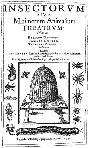 Insectorum