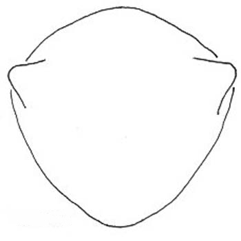 fig 7
