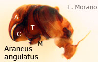 fig 9