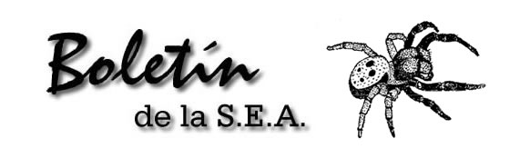 Boletín 11