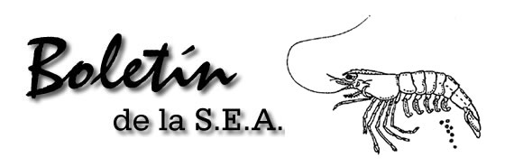 Boletín 13