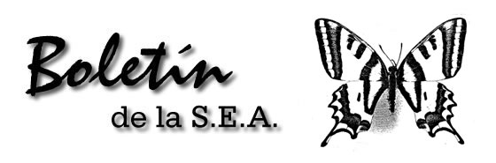 Boletín 15