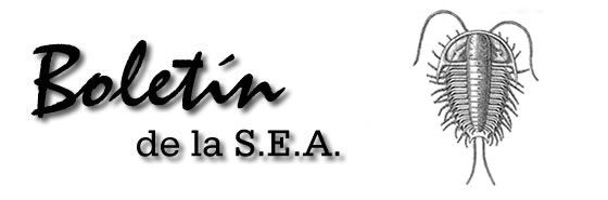 Boletín 16