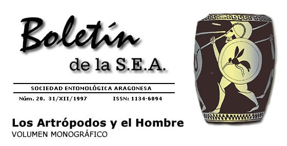Boletín 20
