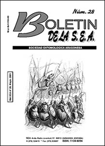 Boletín 28