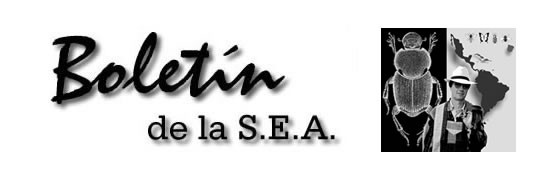 Boletín 29
