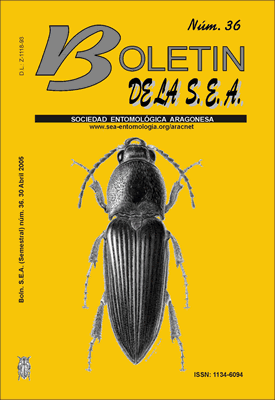 Boletín 36