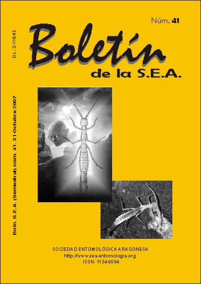 Boletín 41