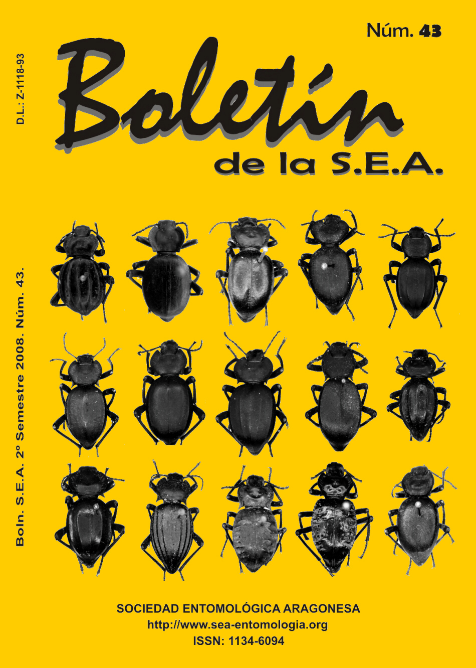 Boletín 43