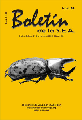 Boletín 45