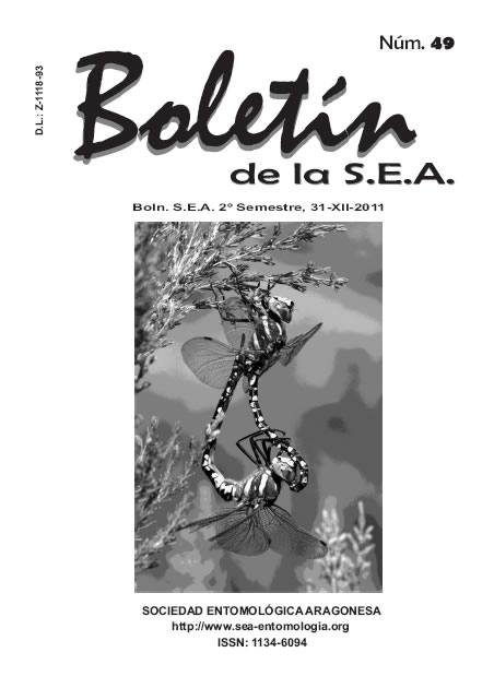 Boletín 49