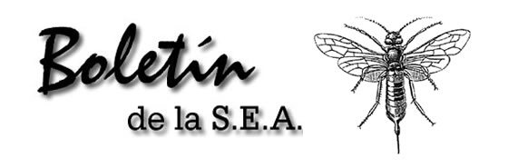 Boletín 5