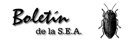 Boletín 6