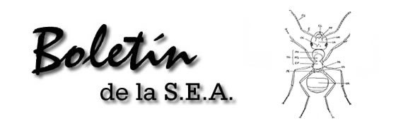 Boletín 8