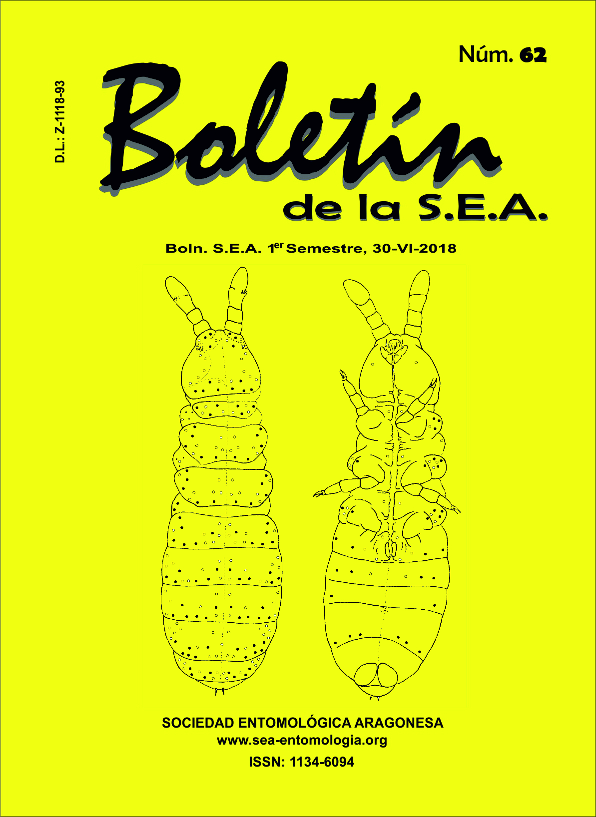 Boletín 62