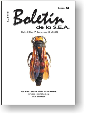 Boletín 58