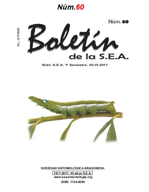 Boletín 60