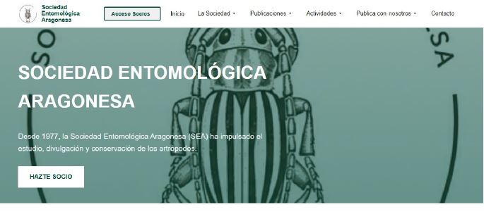 Noticia 1